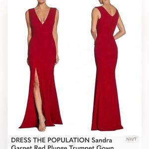 Dress The Population gown XS
